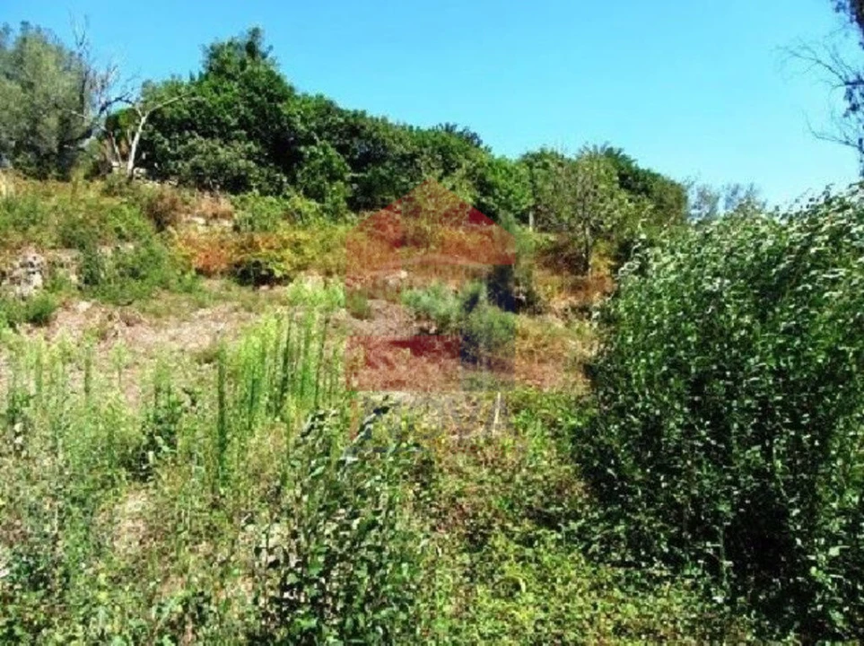 Terreno para Venda em Ponte Foto 3