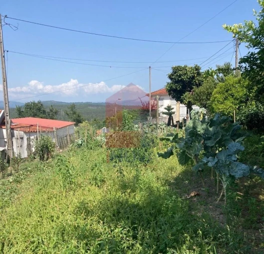 Moradia T0 para Venda em Parada de Gatim Foto 17