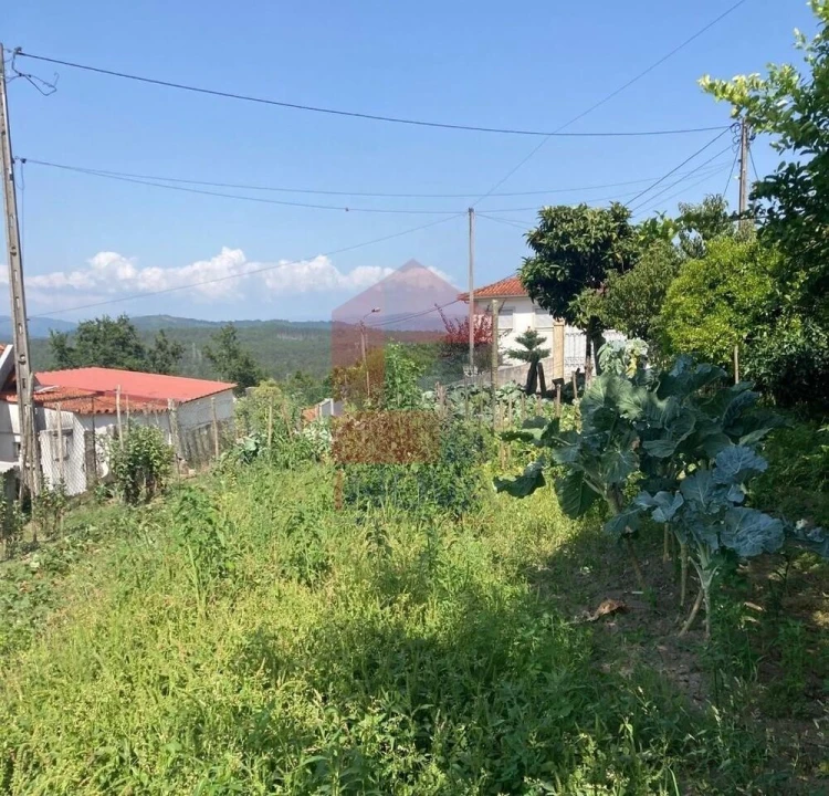 Moradia T0 para Venda em Parada de Gatim Foto 17