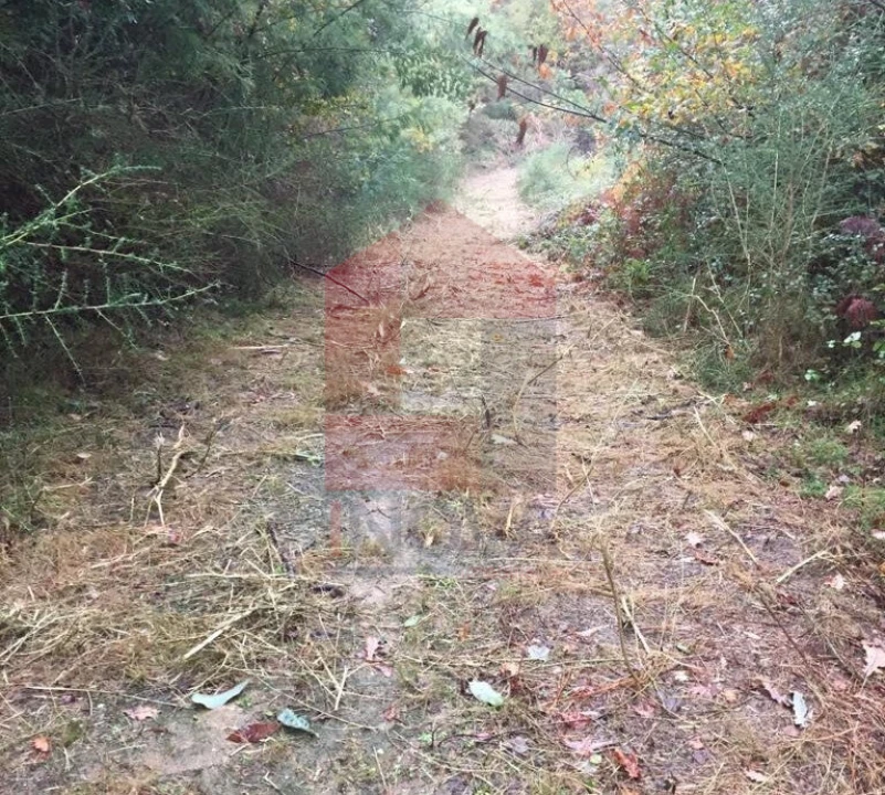 Terreno para Venda em Dossãos Foto 5