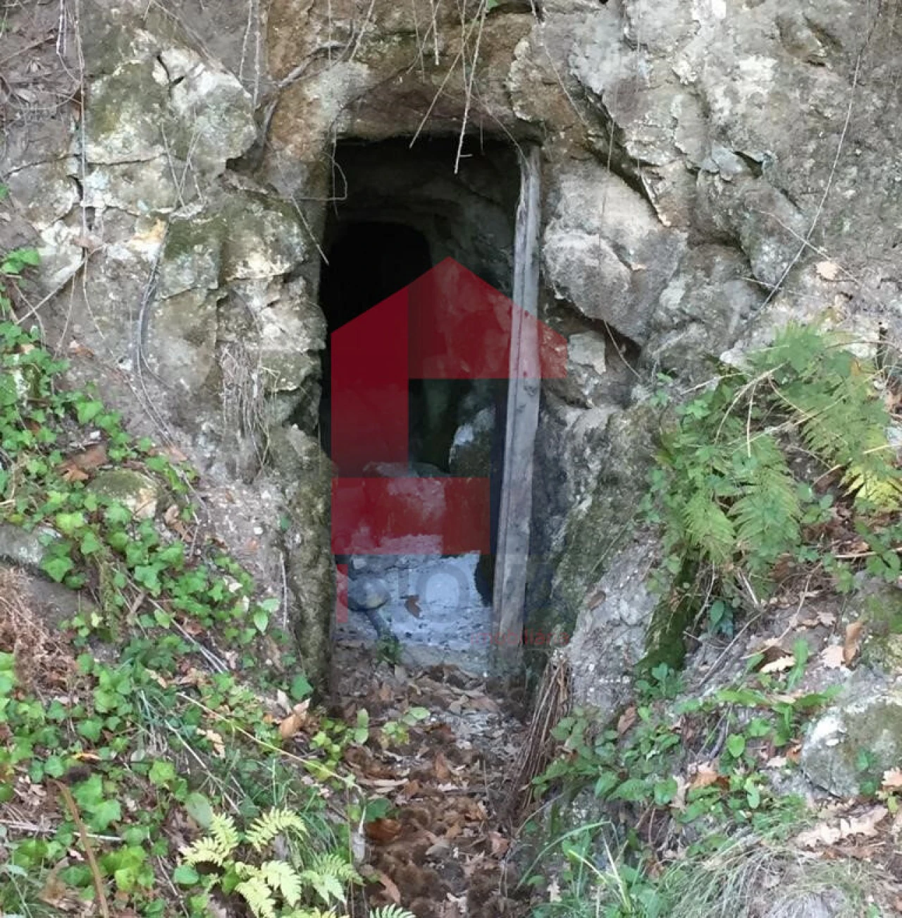 Terreno para Venda em Dossãos Foto 6