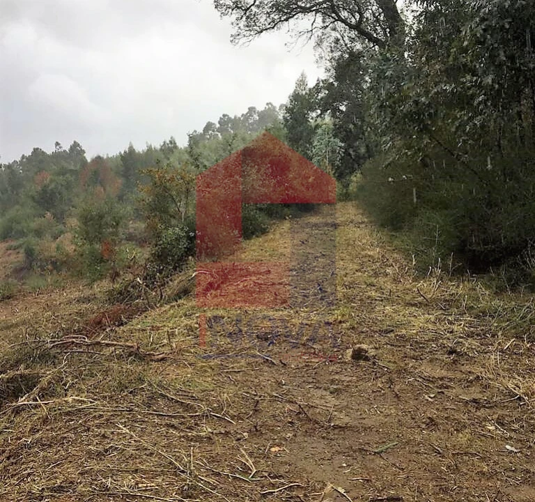 Terreno para Venda em Dossãos Foto 3