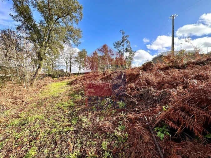 Terreno para Venda em Turiz Foto 24