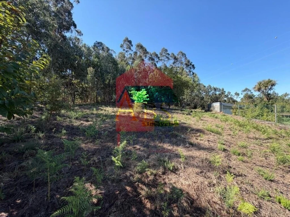 Terreno para Venda em Fiscal Foto 4