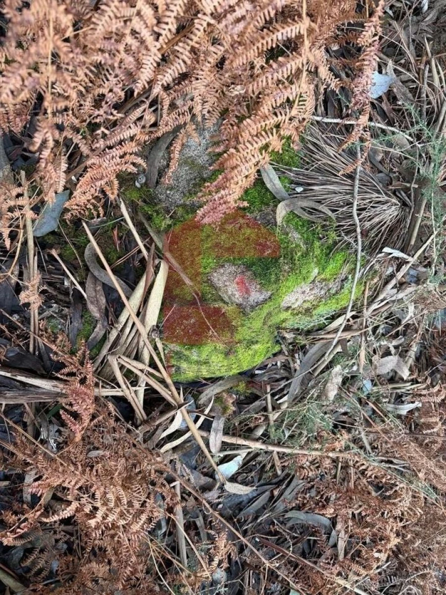 Terreno para Venda em Fiscal Foto 6