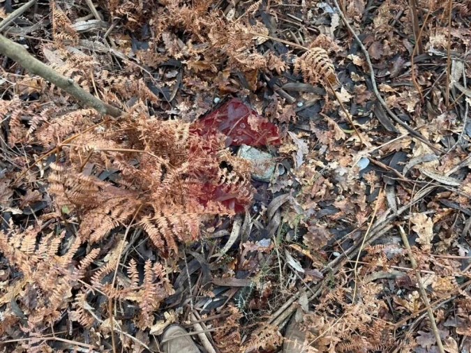 Terreno para Venda em Fiscal Foto 5