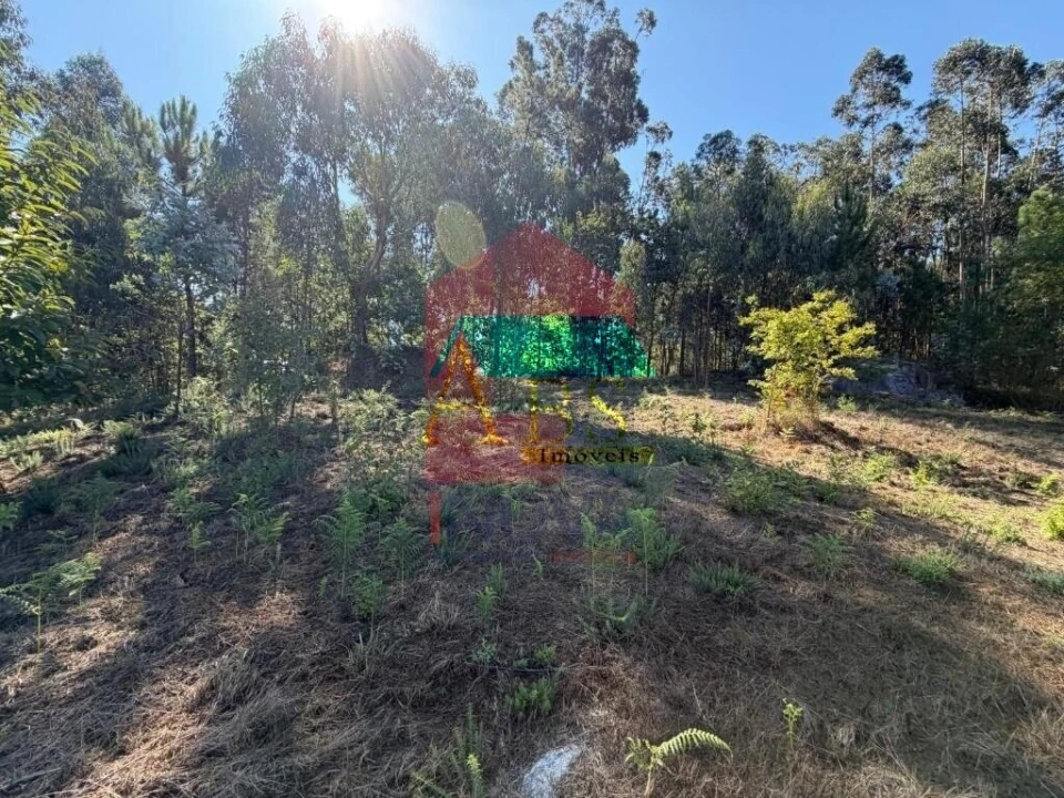 Terreno para Venda em Fiscal Foto 5