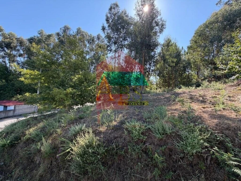 Terreno para Venda em Fiscal Foto 6