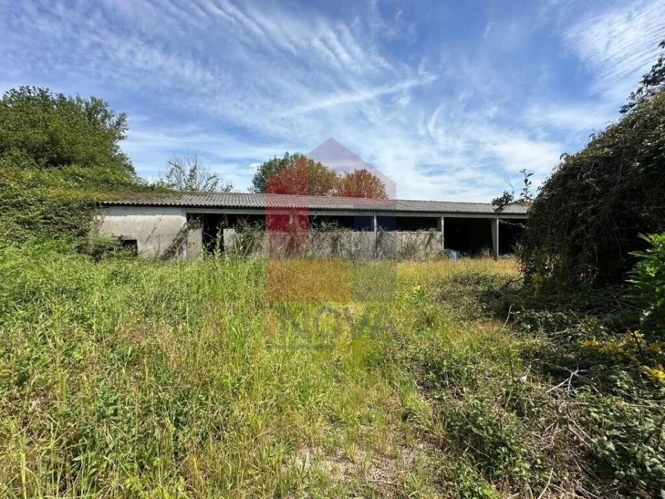 Quinta T5 para Venda em Povoa de Lanhoso (N. Senhora do Amparo) Foto 29