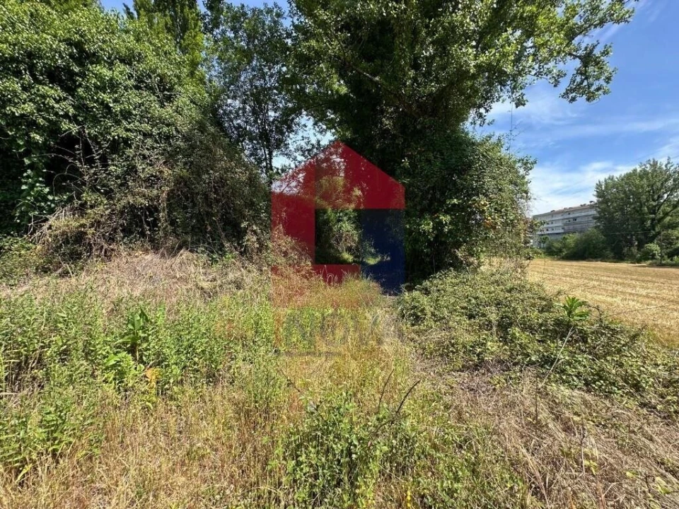 Quinta T5 para Venda em Povoa de Lanhoso (N. Senhora do Amparo) Foto 12