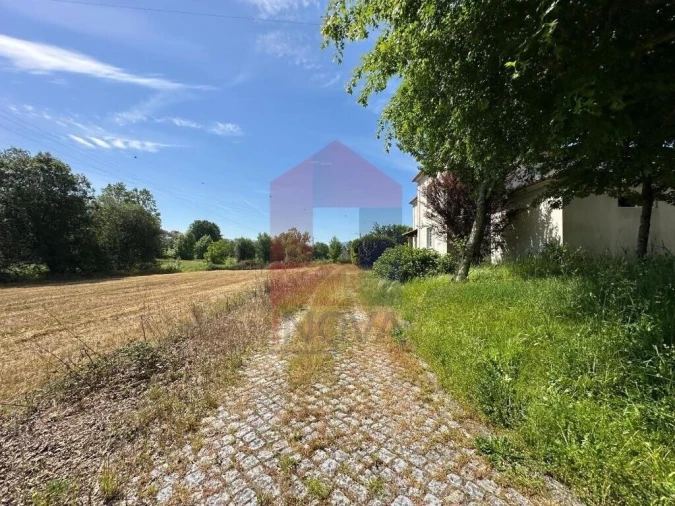 Quinta T5 para Venda em Povoa de Lanhoso (N. Senhora do Amparo) Foto 37