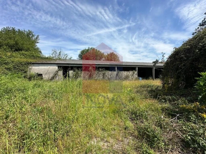 Quinta T5 para Venda em Povoa de Lanhoso (N. Senhora do Amparo) Foto 29