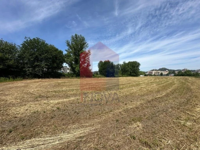 Quinta T5 para Venda em Povoa de Lanhoso (N. Senhora do Amparo) Foto 36