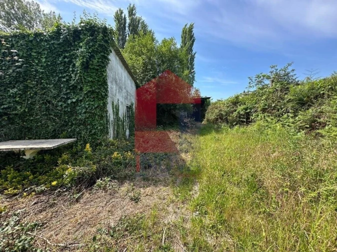 Quinta T5 para Venda em Povoa de Lanhoso (N. Senhora do Amparo) Foto 28