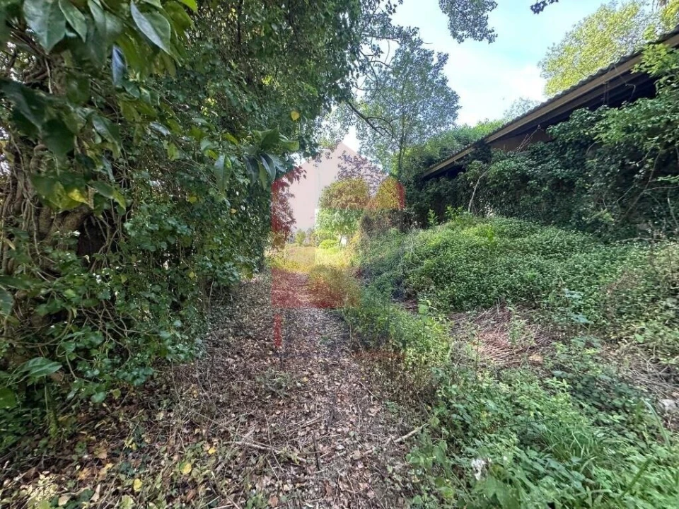 Quinta T5 para Venda em Povoa de Lanhoso (N. Senhora do Amparo) Foto 15