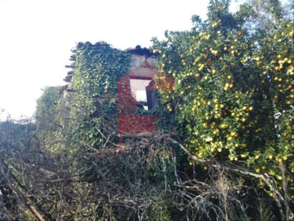 Moradia T3 para Venda em Prado (São Miguel) Foto 3