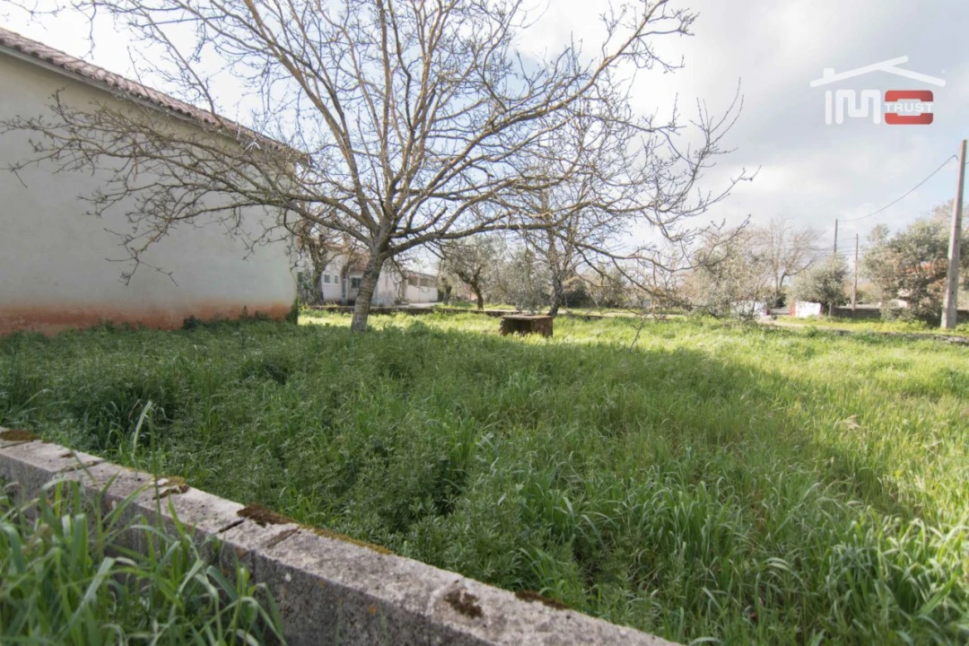 Terreno P/ Prédio para Venda em Fatima Foto 4