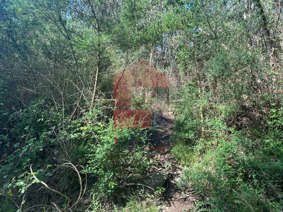 Terreno para Venda em Lanhas Foto 2