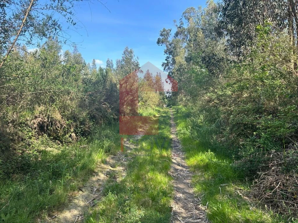 Terreno para Venda em Lanhas Foto 6