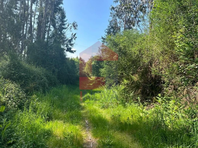 Terreno para Venda em Lanhas Foto 5