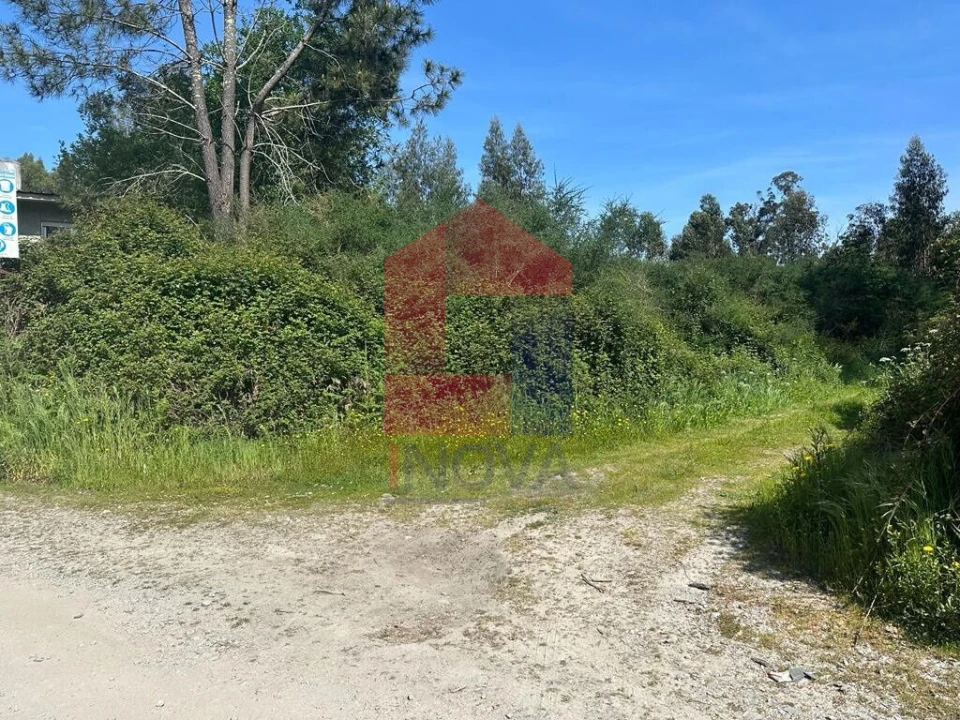 Terreno para Venda em Lanhas Foto 11