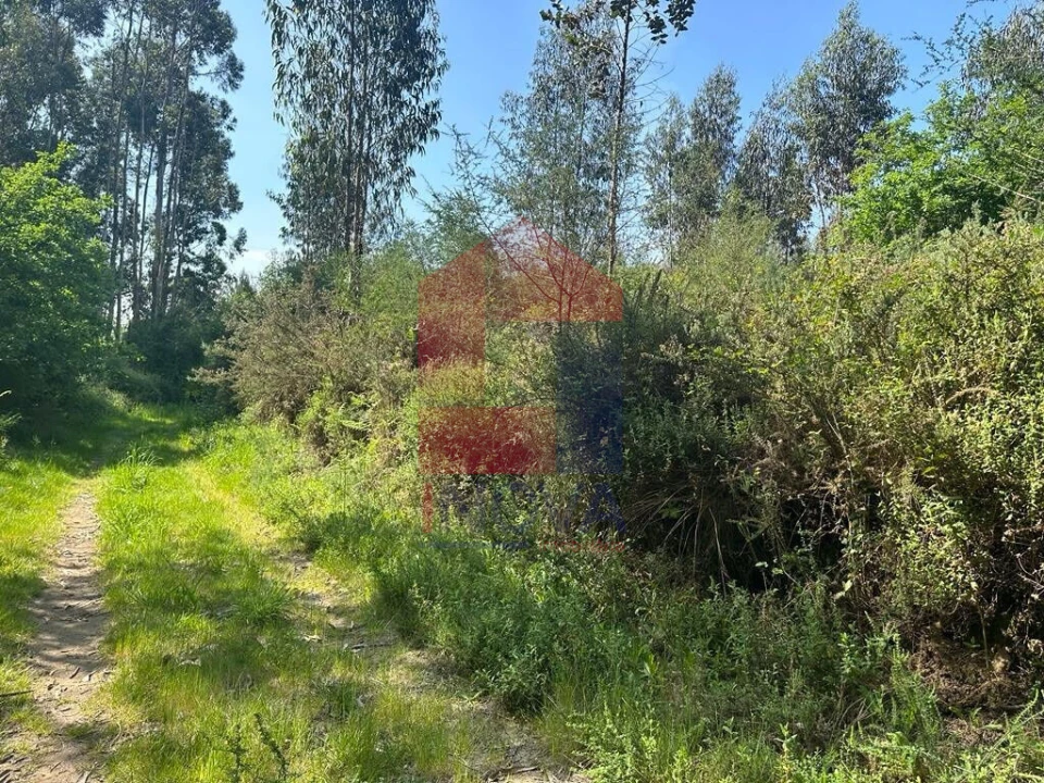 Terreno para Venda em Lanhas Foto 1