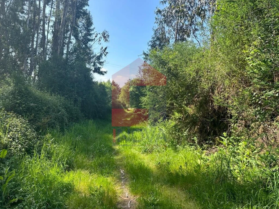 Terreno para Venda em Lanhas Foto 4