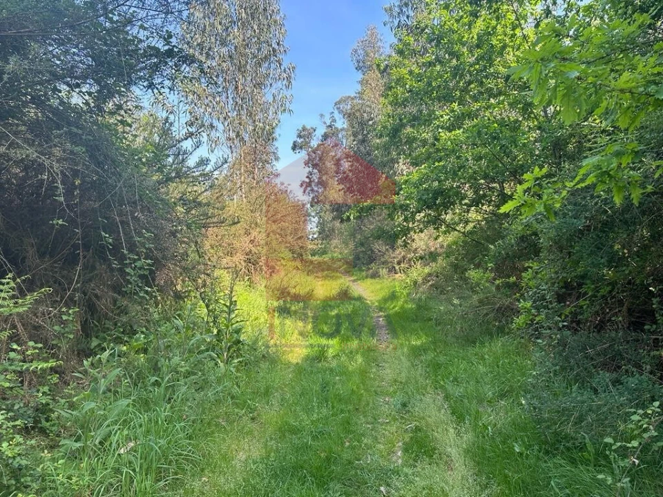 Terreno para Venda em Lanhas Foto 3