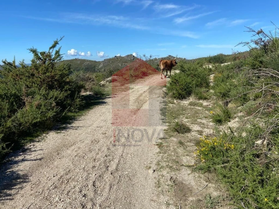 Terreno para Venda em Valdreu Foto 5