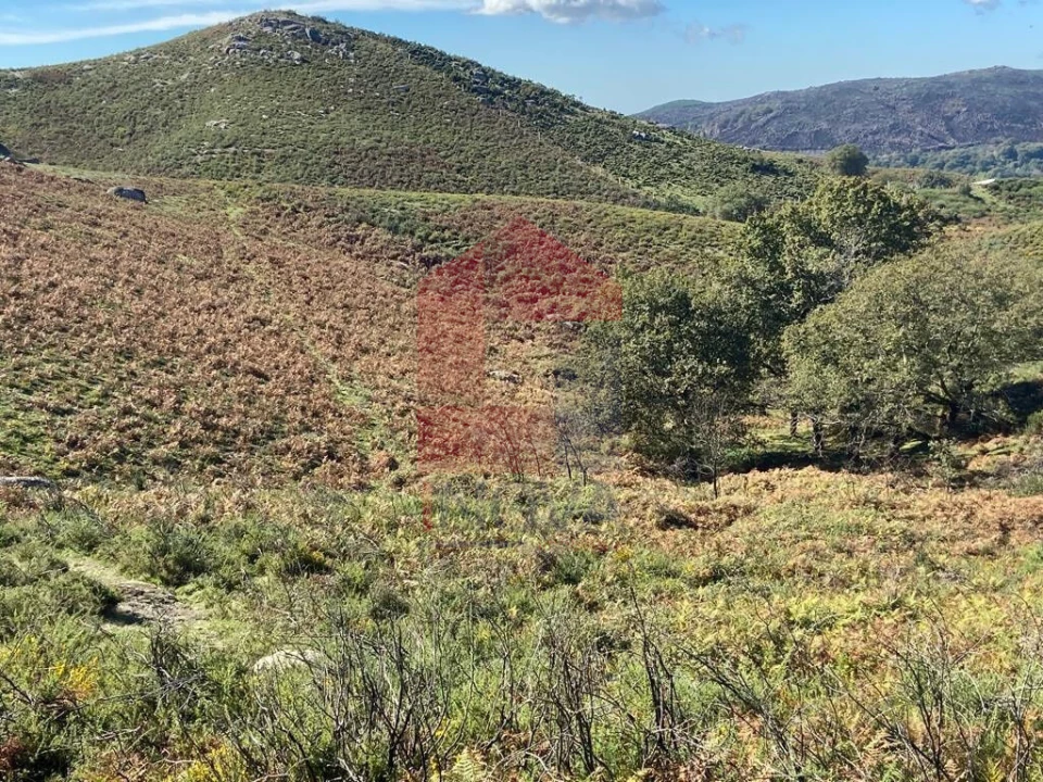Terreno para Venda em Valdreu Foto 2