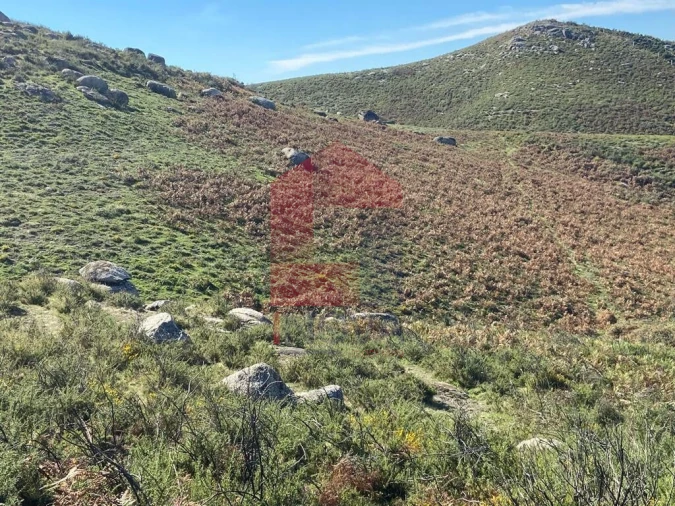 Terreno para Venda em Valdreu Foto 4