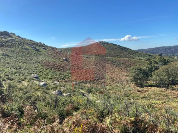 Terreno para Venda em Valdreu Foto 1