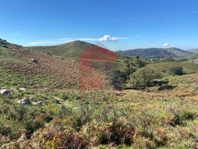 Terreno para Venda em Valdreu Foto 3