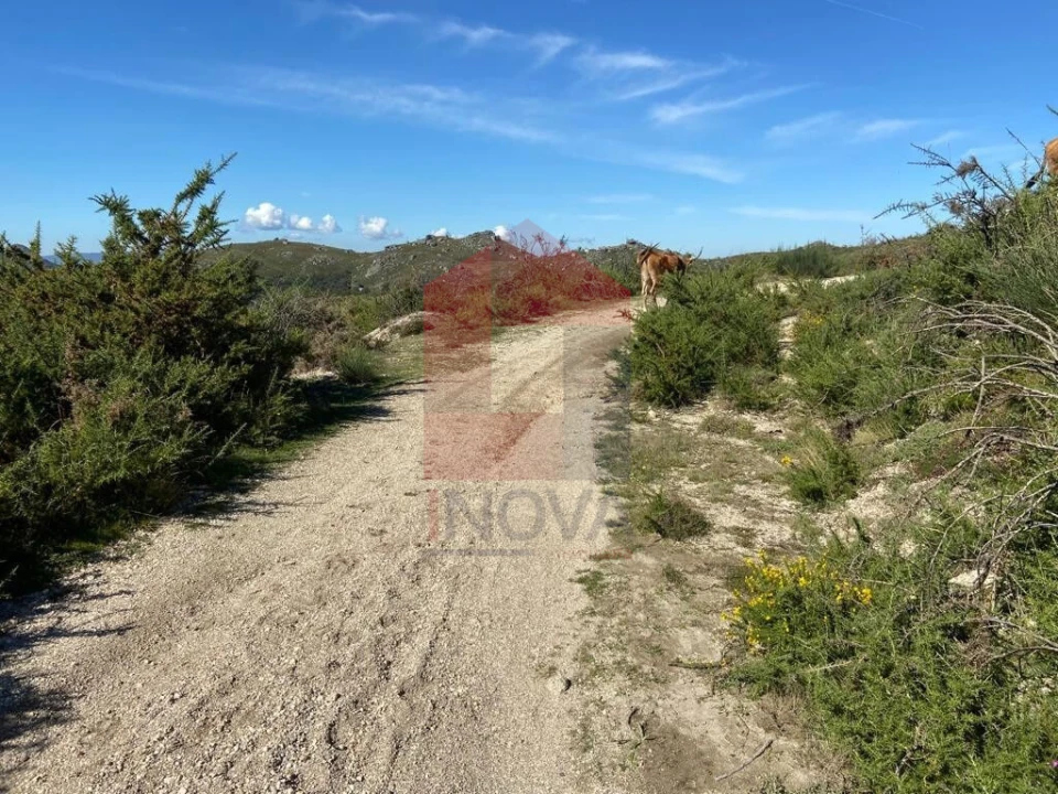 Terreno para Venda em Valdreu Foto 7