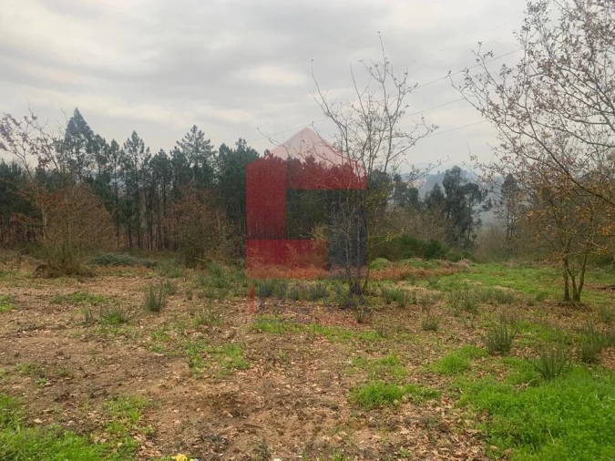 Terreno para Venda em Sabariz Foto 6