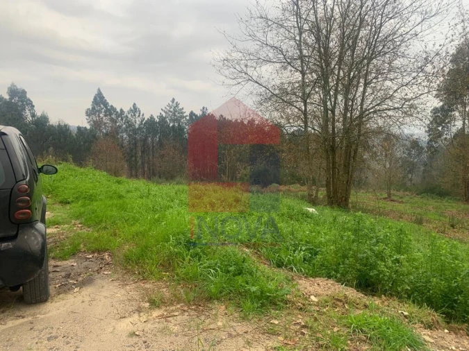 Terreno para Venda em Sabariz Foto 10