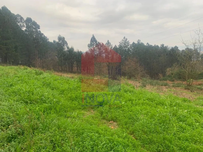 Terreno para Venda em Sabariz Foto 2