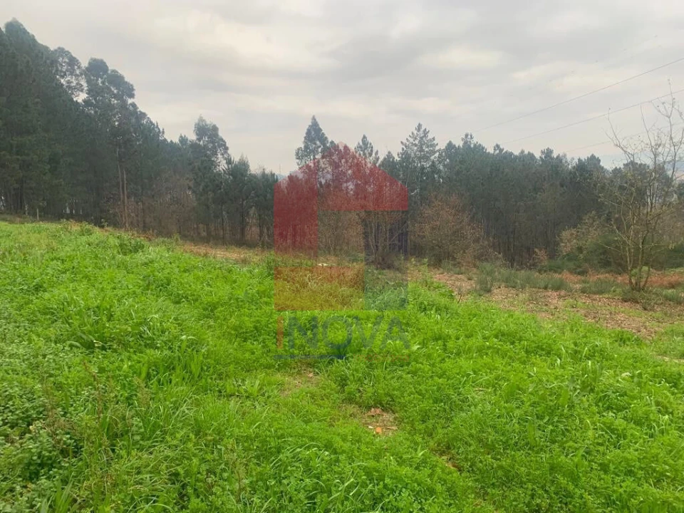 Terreno para Venda em Sabariz Foto 2