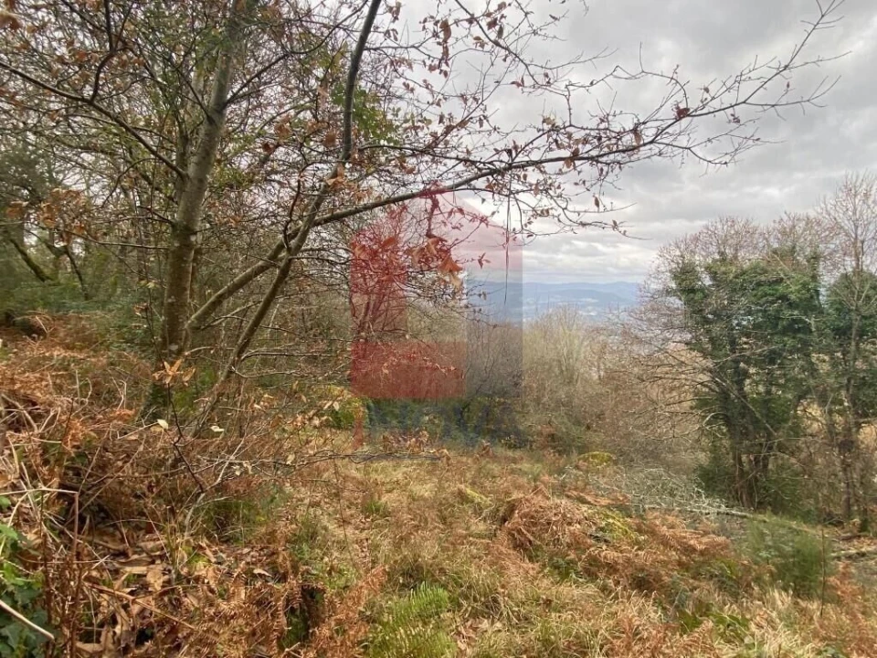 Terreno para Venda em Cuide de Vila Verde Foto 15