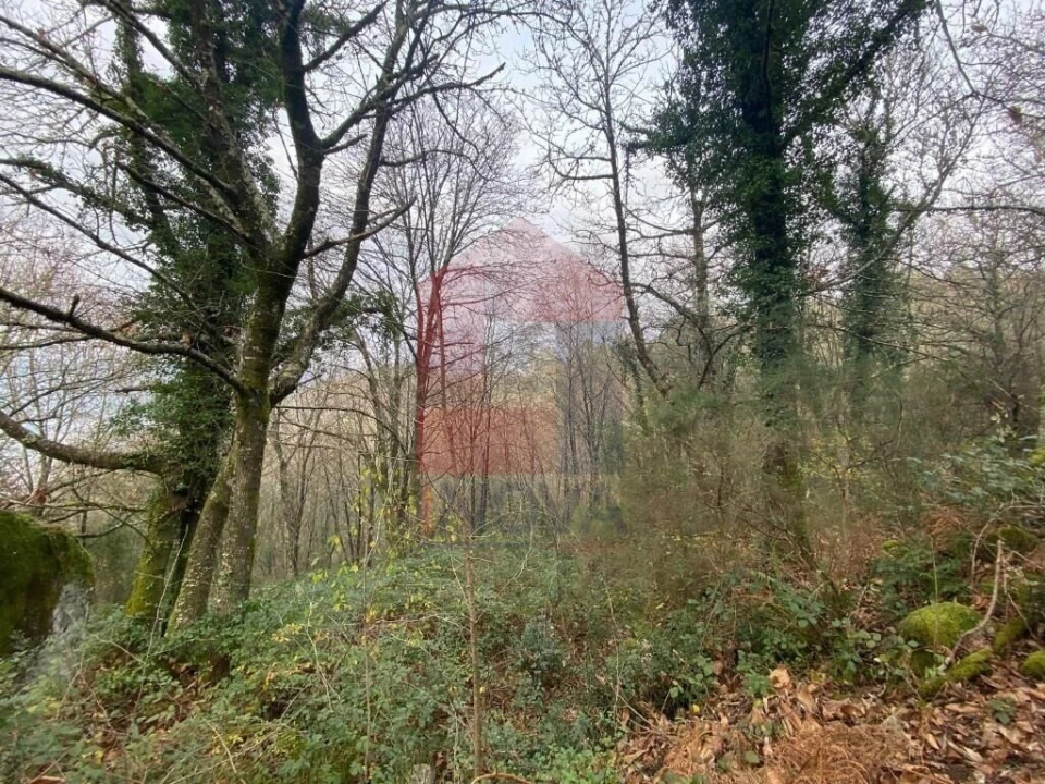 Terreno para Venda em Cuide de Vila Verde Foto 9