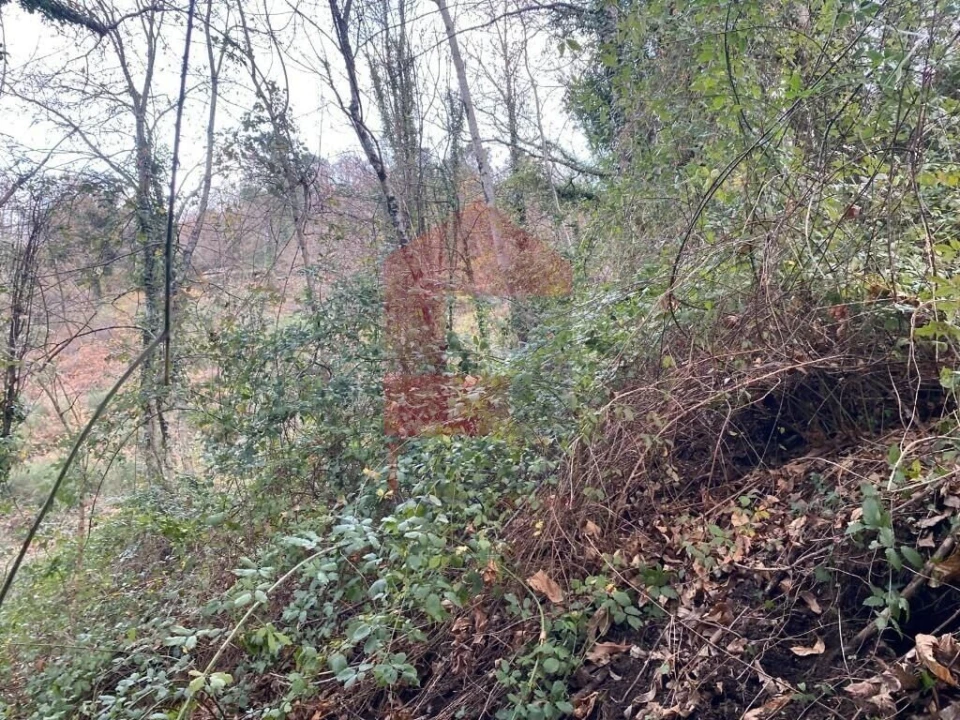 Terreno para Venda em Cuide de Vila Verde Foto 18