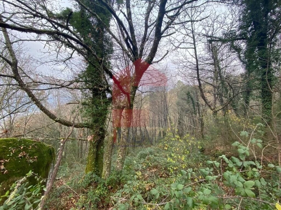 Terreno para Venda em Cuide de Vila Verde Foto 5