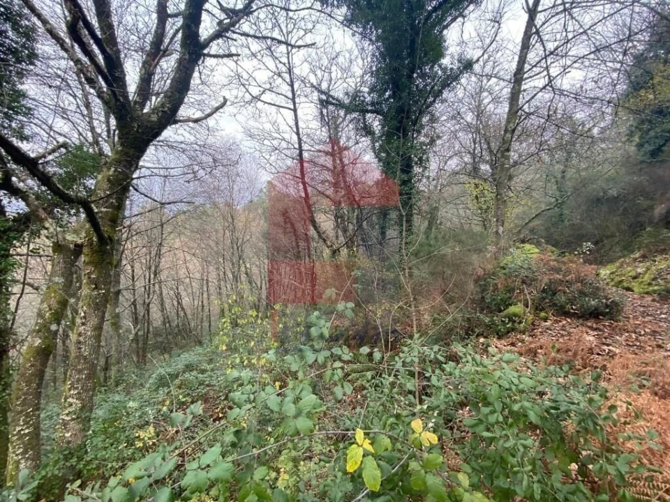 Terreno para Venda em Cuide de Vila Verde Foto 7