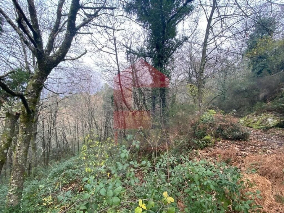 Terreno para Venda em Cuide de Vila Verde Foto 14