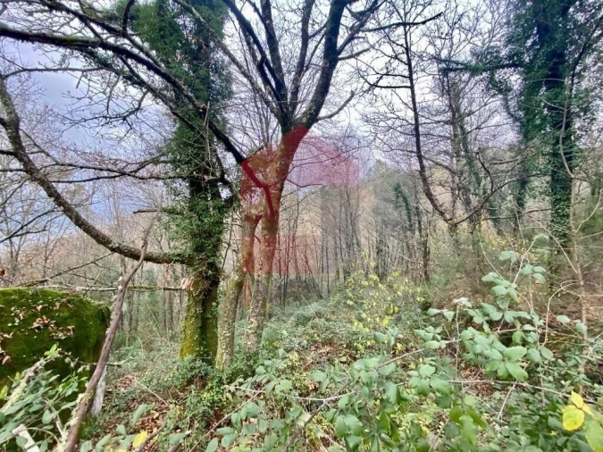 Terreno para Venda em Cuide de Vila Verde Foto 6
