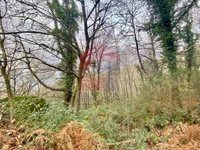 Terreno para Venda em Cuide de Vila Verde Foto 4