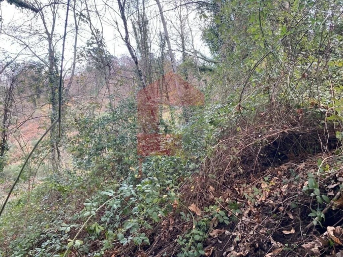 Terreno para Venda em Cuide de Vila Verde Foto 18