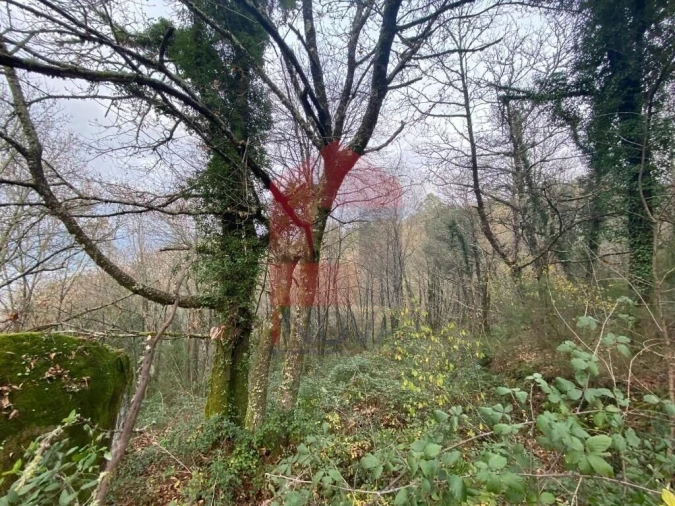 Terreno para Venda em Cuide de Vila Verde Foto 5