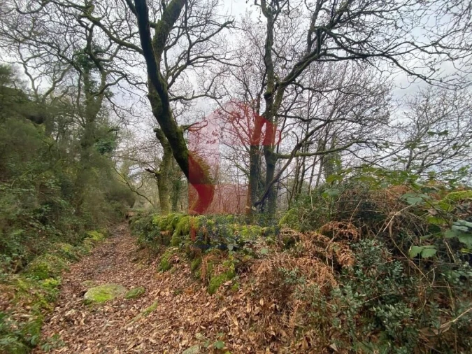 Terreno para Venda em Cuide de Vila Verde Foto 20