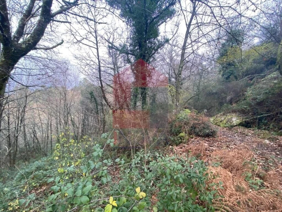 Terreno para Venda em Cuide de Vila Verde Foto 8